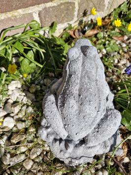 Gartenstatue eines Frosches, Frosch