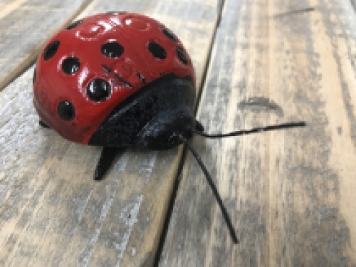 Marienkäfer, ganz aus Gusseisen, toll!