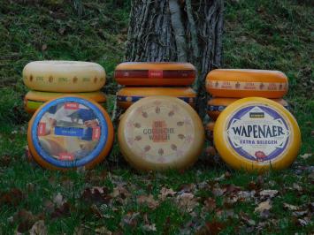 Dekorative Käseräder – 3 Stück – Ø 35 cm – verschiedene Sorten