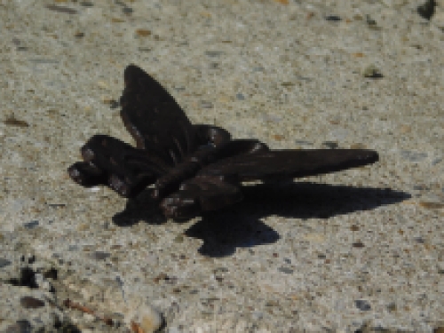 Schmetterling S Gusseisen, Wand Schmetterling, super schön!