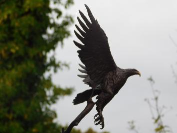 Bronzeadler auf Marmorsockel - 51 cm - Skulptur