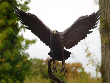 Bronzeadler auf Marmorsockel - 51 cm - Skulptur