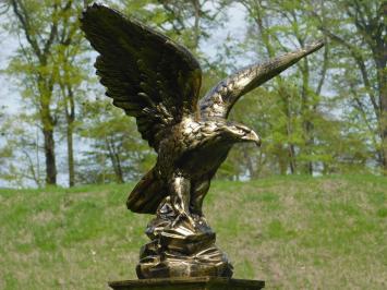 Adler im Flug - Polystone - gold/schwarz