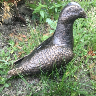 Taube, voll Bronze-Metall farbe, schöne Statue