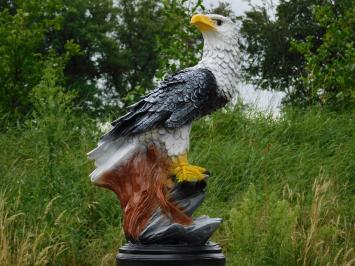 Adelaar XL – 65 cm – Schwarz-Weiß – Polystone