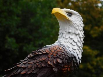 Bild Adler – 65 x 40 cm – Polystone