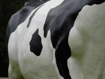 Skulptur Kuh XXL – 147 x 205 cm – Polystone