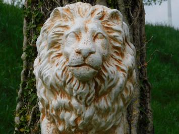 Beeld Leeuw XL - 67 cm - Polystone