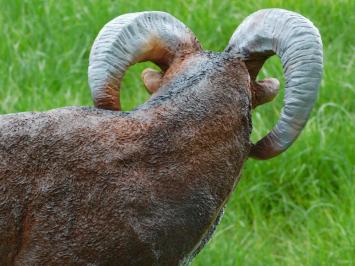 Statue Widder - 65 cm - Polystone