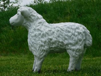 Beeld Schaap - 50 cm - Polystone