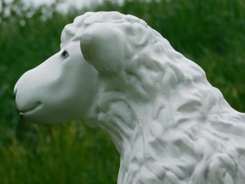 Beeld Schaap - 50 cm - Polystone