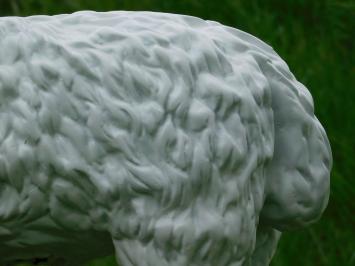 Beeld Schaap - 50 cm - Polystone
