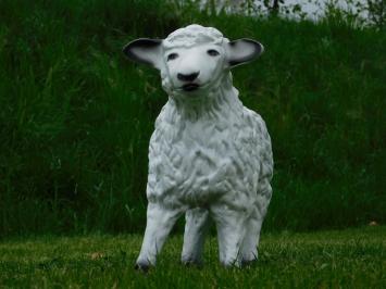 Beeld Schaap - 50 cm - Polystone
