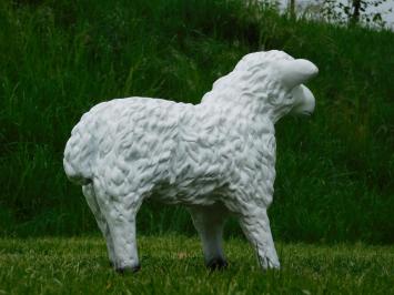 Beeld Schaap - 50 cm - Polystone