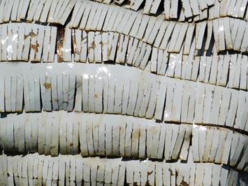 Bild Schaf – 90 x 95 cm – Handgefertigt aus Metall