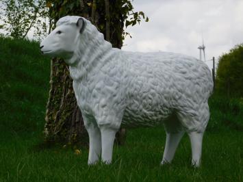 Beeld Schaap - 80 cm - Polystone