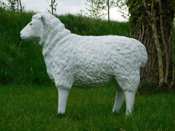 Beeld Schaap - 80 cm - Polystone