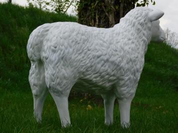 Beeld Schaap - 80 cm - Polystone