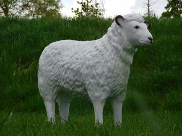 Beeld Schaap - 80 cm - Polystone