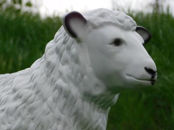 Beeld Schaap - 80 cm - Polystone