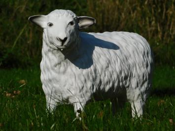 Beeld Schaap - 45 cm - Polystone