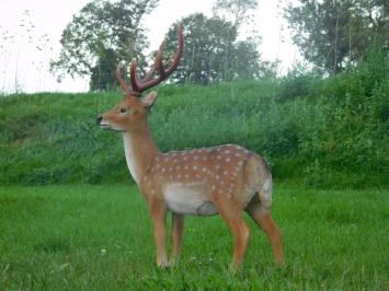 Statue Hirsch XL | Polystone | Sikahert | Ganz in Farbe