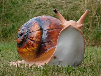 Skulptur Schnecke – 40 cm – Polystone