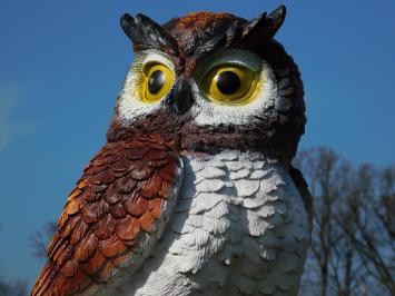 Braune Eule XL - 70 x 40 cm - Polystone