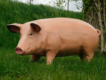 Beeld Varken XL - 97 cm - Polystone