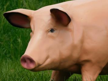 Beeld Varken XL - 97 cm - Polystone