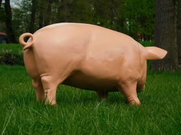 Beeld Varken XL - 97 cm - Polystone