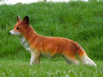 Statue Fuchs - 50 cm - Polystone