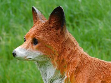 Statue Fuchs - 50 cm - Polystone