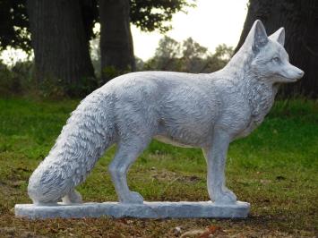 Tuinbeeld Vos - 70 cm - Stenen Dierenbeeld