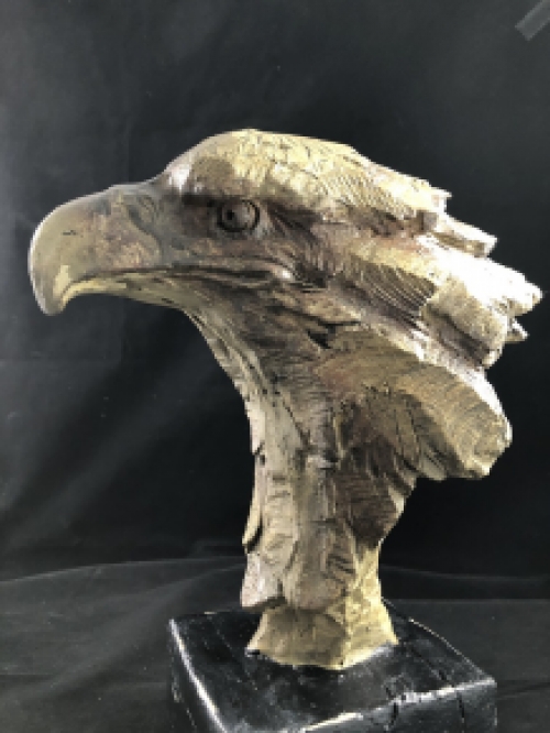 Een prachtige kop van een adelaar, fraai in detail, polystone woodlook
