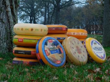 Dekorativer Käse-Laib – Ø 35 cm – verschiedene Sorten