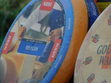 Dekorativer Käse-Laib – Ø 35 cm – verschiedene Sorten