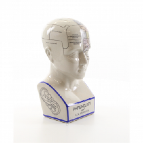 EEN PORSELEINEN PHRENOLOGY HOOFD IN KLEUR.