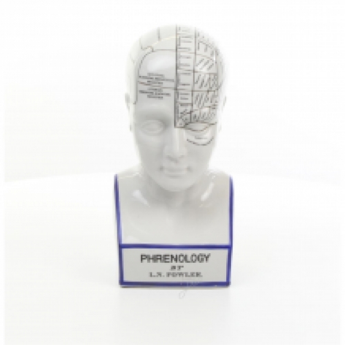 EEN PORSELEINEN PHRENOLOGY HOOFD IN BLAUW KLEURING.