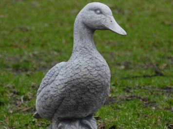 Eend van Steen - 37 cm - Gedetailleerd