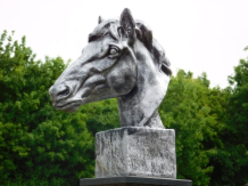 Groot paardenhoofd - zilvergrijs - polystone