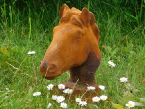 Pferdekopf - Gusseisen in Rost-Optik