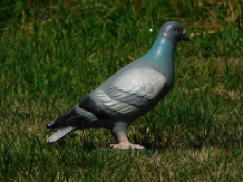 Schöne, farbige Statue einer Taube aus Gusseisen