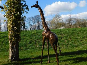 Giraffe Zola - 290 cm - Handgefertigt und einmalig