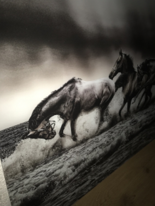 Kunst op glas van paarden in water, prachtig!