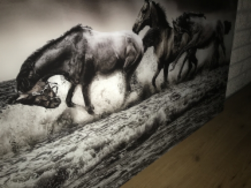 Kunst op glas van paarden in water, prachtig!
