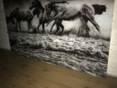 Kunst op glas van paarden in water, prachtig!