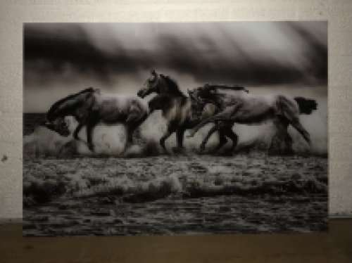 Kunst op glas van paarden in water, prachtig!