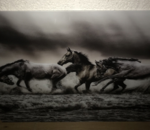 Kunst op glas van paarden in water, prachtig!