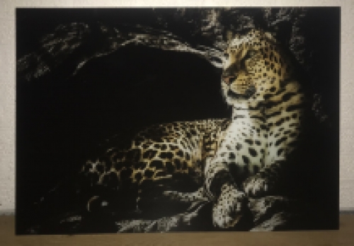 Schöne Kunst auf Glas von einem Leoparden / Panther, sehr schön!